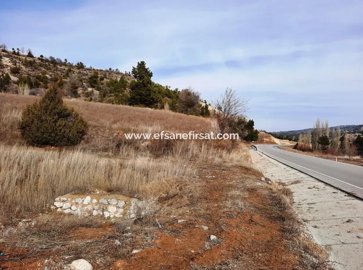 15.250 M2 Schnäppchengrundstück Zum Verkauf In Çameli Kınıkyeri Acıpayam Road