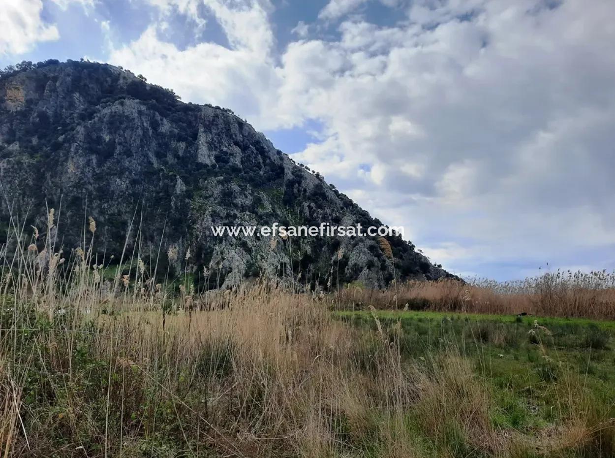 Opportunity Schnäppchen Land Geeignet Für 9.000 M2 Investition Zum Verkauf In Dalyan