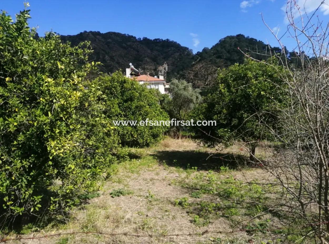 3 Grundstücke Zum Verkauf Seite An Seite Mit Dalaman-Fethiye Straßenfassade Im Zentrum Von Ortaca