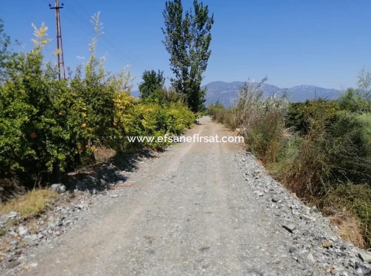 Granatapfelgarten Zum Verkauf In Mugla Ortaca Tepearasi