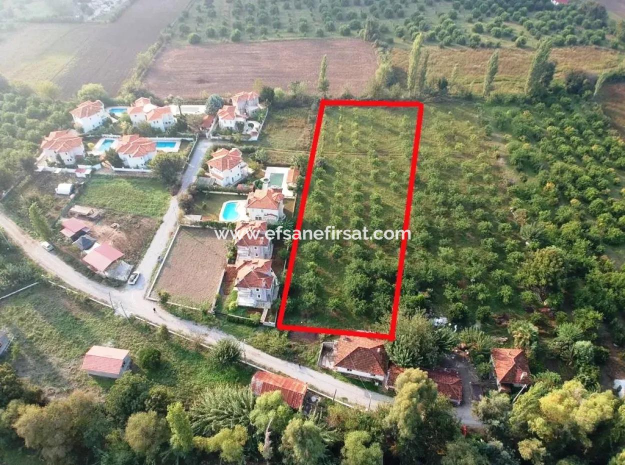 Muğla Ortaca Marmarlıda 4.000 M2 Zitronengarten 5 Jahre Vermietung