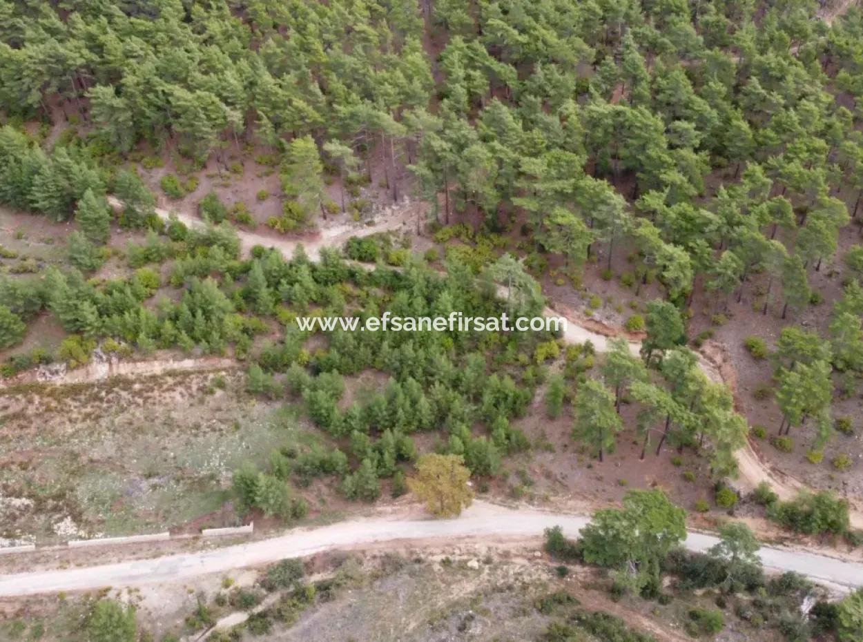 Fethiye Üzümlü Kızılbelde 7.000M2, 250M2 Grundstück Zum Verkauf Mit Baurechten, Geeignet Für Investitionen