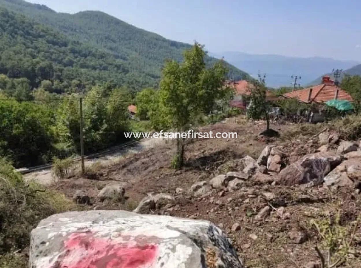 Muğla Köyceğiz Yayla Mah 560 M2 Grundstück Zum Verkauf