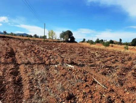 Denizli 'Ameli Cevizli 2 700 M2 Land- Und Dorfhaus Zu Verkaufen