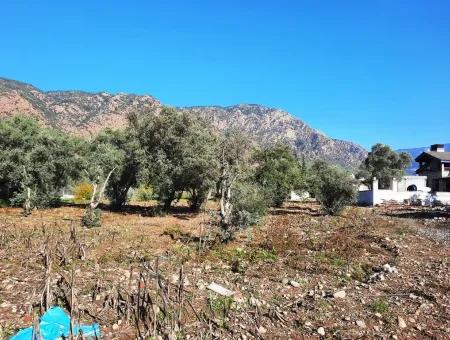 2.000 M2 Kelepir Freistehendes Zoning-Land Zum Verkauf In Köyce-Inz Topars