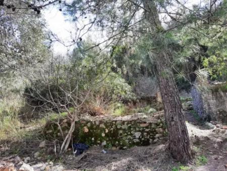 Ruiniertes Dorfhaus Aus Stein Zum Verkauf In Gökova Und Seinem Land