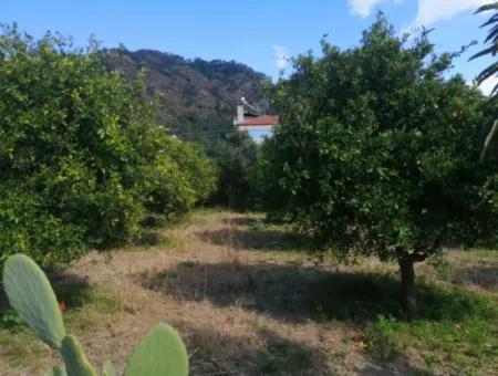 3 Grundstücke Zum Verkauf Seite An Seite Mit Dalaman-Fethiye Straßenfassade Im Zentrum Von Ortaca