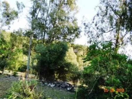 600 M2 Garten Mit Meerblick Zum Verkauf In Mugla Fethiye Eldirek