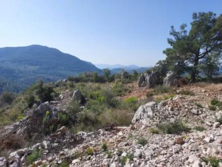 1 300 M2 63 M2 Zoniertes Grundstück Zum Verkauf In Göcek Gökçeovacik