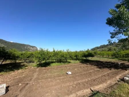 Ortaca Mergenlide Bergseite, 1 700 M2 Zoniert Schnäppchenland Zum Verkauf