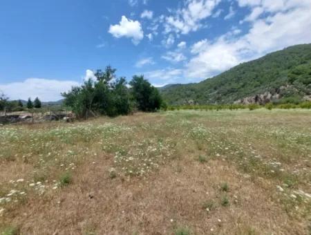 Köyceğiz Çandırda Freistehende Eigentumsurkunde 33.800 M2 Feld Zum Verkauf