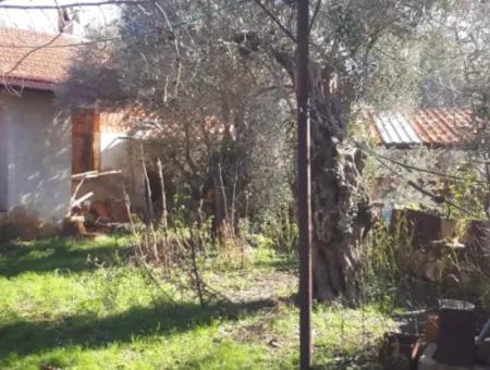 Dorfhaus Zum Verkauf Auf 545 M2 Zoniertem Grundstück In Denizli Kızılağaç