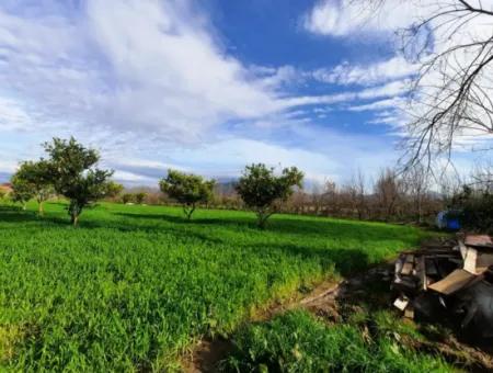 1500 M2 Freistehendes Grundstück In Der Natur Zum Verkauf In Ortaca Okçular