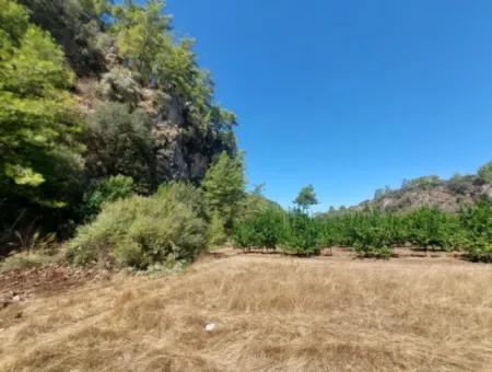 4.427 M2 Fruchtbares Land Mit Blick Auf Die Berge Und Die Natur In Ortaca Okçular Zu Verkaufen