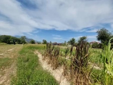 Fruchtbares 1.680 M2 Land Am Berghang Zum Verkauf In Dalyan, Muğla