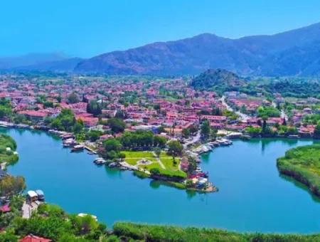 24.000 M2 Freistehender Granatapfelgarten Zum Verkauf In Dalyan, Muğla