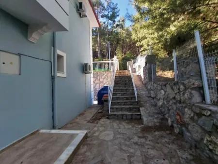 Freistehende Luxusvilla Mit Swimmingpool Zum Verkauf In Der Natur In Fethiye Üzümlü