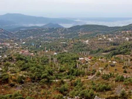 12 300 M2 Land Geeignet Für Investitionen Zum Verkauf In Antalya Kaş Kalkan Islam