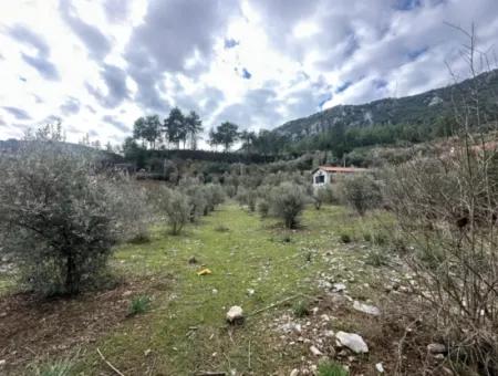 Zu Verkaufen In Fethiye Gökçeovacıkta 1709 M2