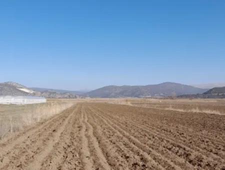 6 600 M2 Freistehendes Grundstück Mit Seeblick Zum Verkauf In Burdur Gölhisar Kargalı Dorf