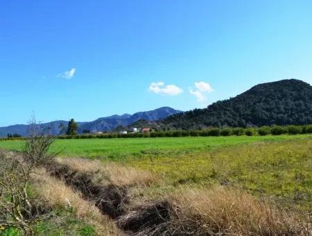 Bauernhof Zum Verkauf Schnäppchen In Dalyan