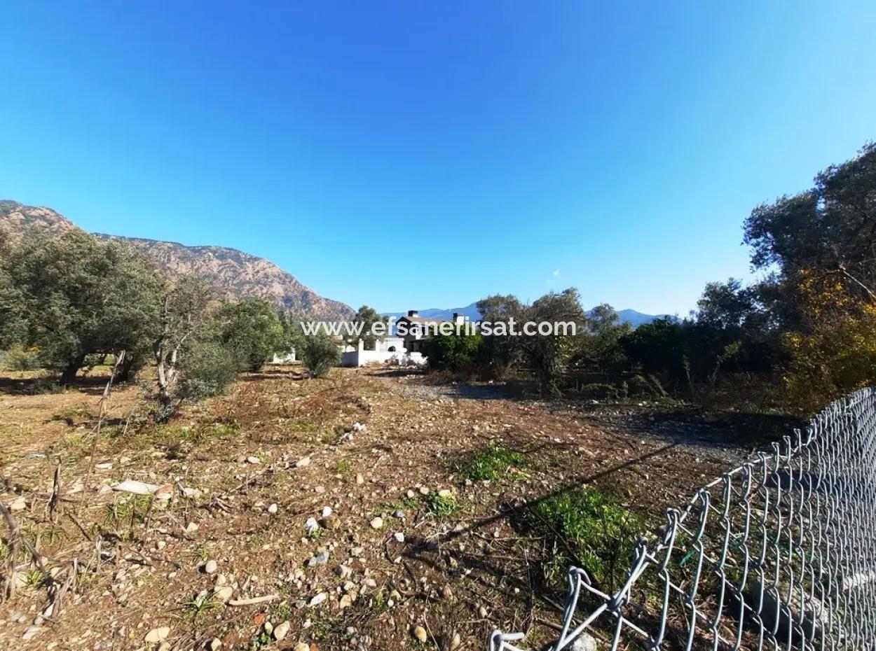 2,000 M2 Kelepir Detached Zoning Land For Sale In Köyceğinz Topars