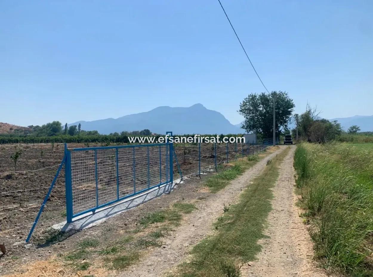 7300 M2 Lemon Field For Sale In Mugla Ortaca Tepearasi