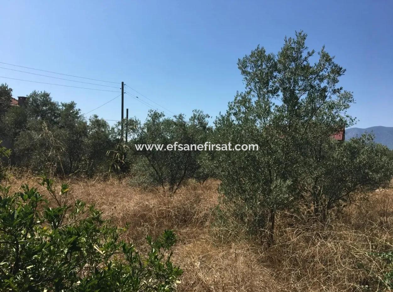 Lake View Land For Sale At Zeytinalani