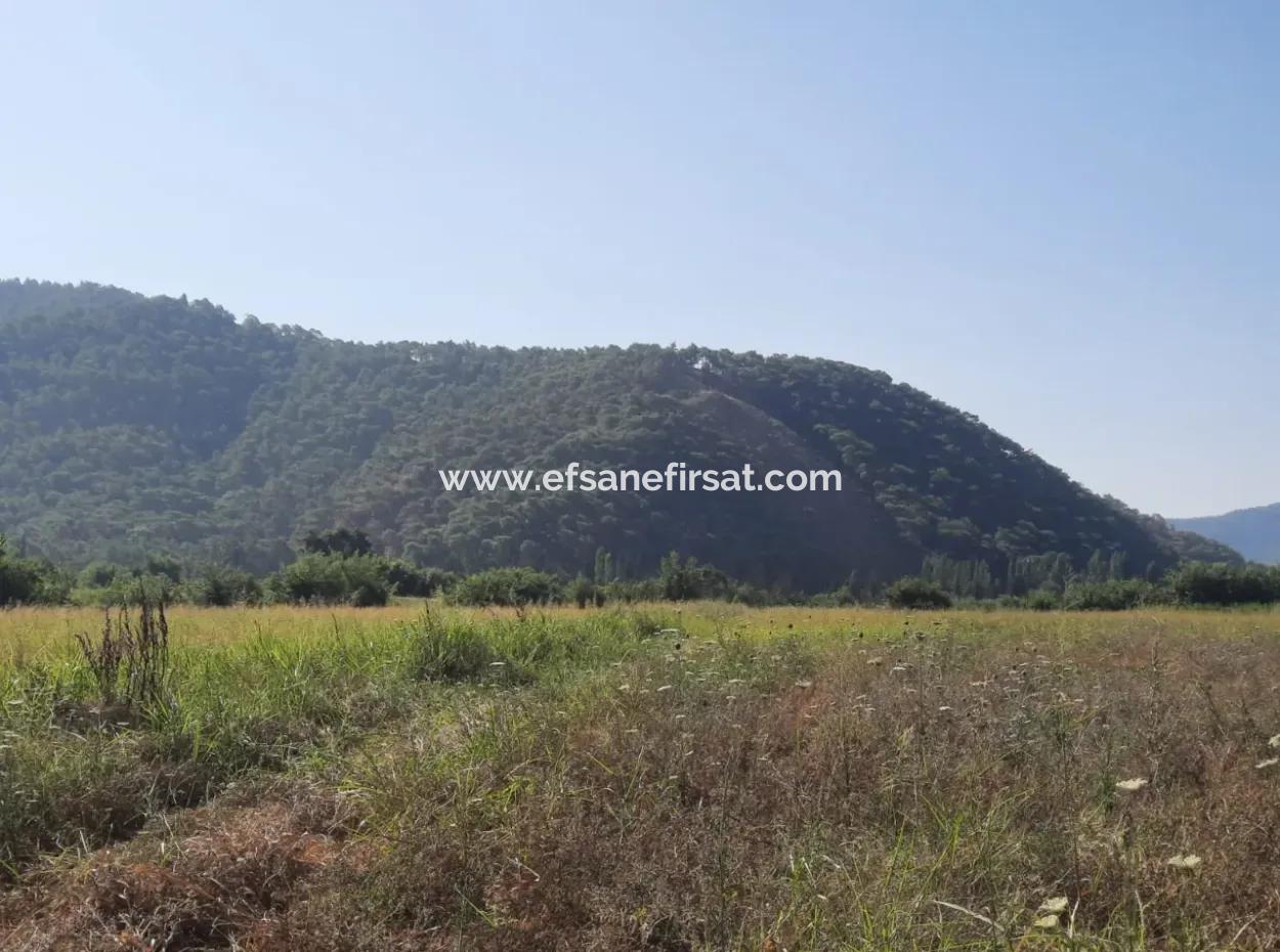 10 000 M2 Land For Sale With House In 2-Storey Rough Construction Between Ortaca Hill And Muğla Ortaca.