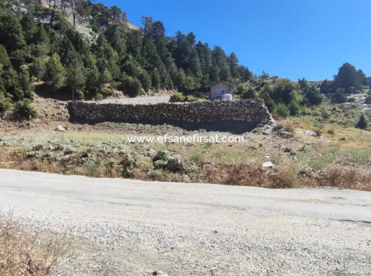 1.522M2 Field For Sale In Çövenli Plateau Of Muğla Köyceğiz Sazak Region