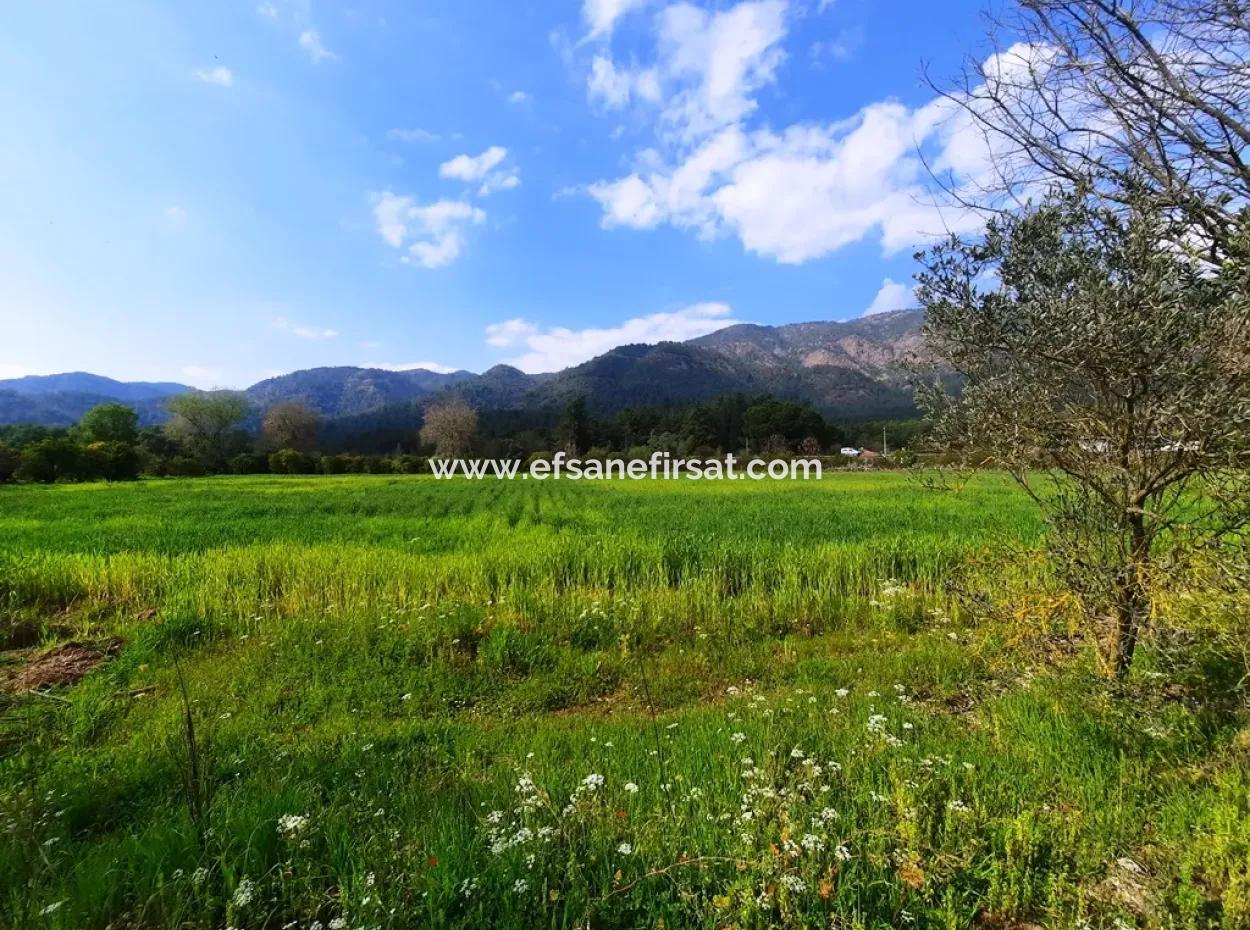 Köyceğiz Yangida Main Road Zero Investment Suitable Bargain Land For Sale