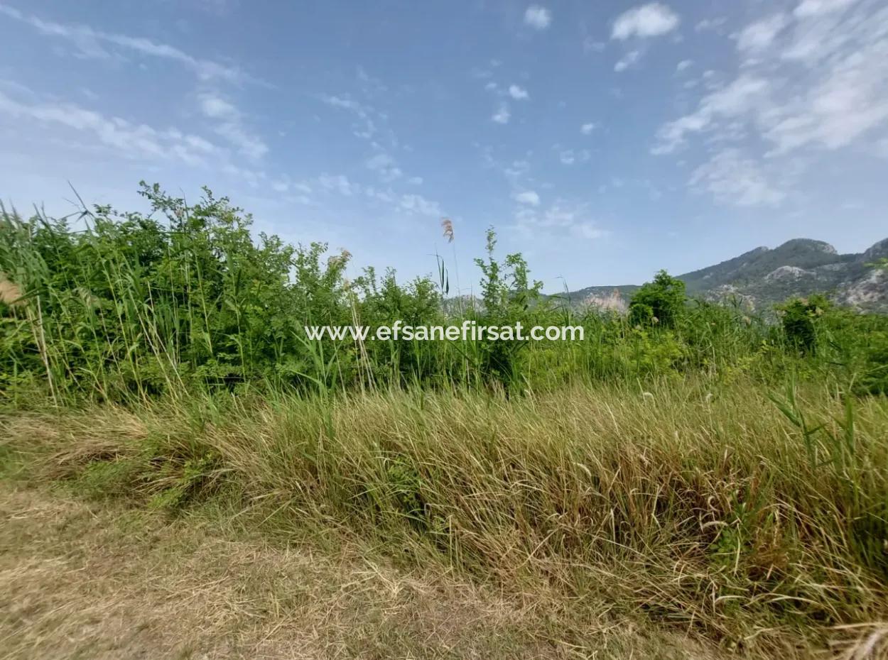 1.500 M2 Detached Field For Sale In Dalyan