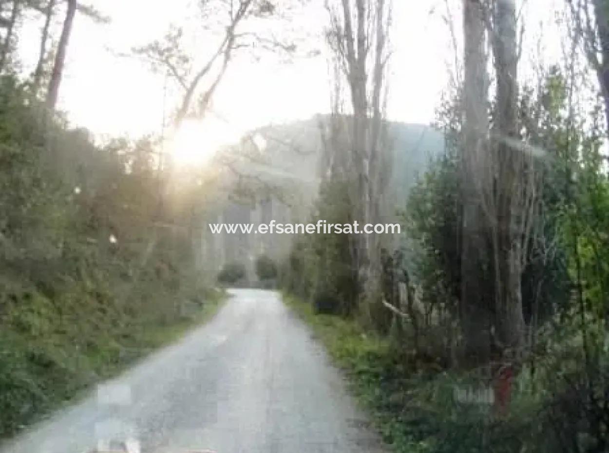 Muğla Ula Karabörtlende Bargain 1 140M2 Land For Sale