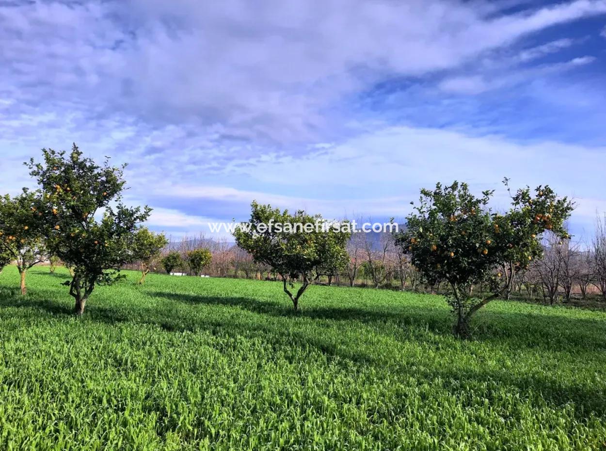 1500 M2 Detached Land In Nature For Sale In Ortaca Okçular