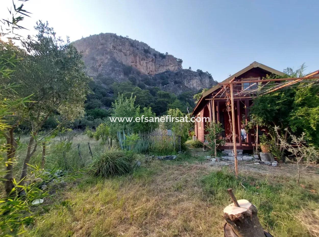 Single Storey House For Sale On 15 000M2 Detached Land Close To Dalyan Canal In Köyceğiz Çandırda