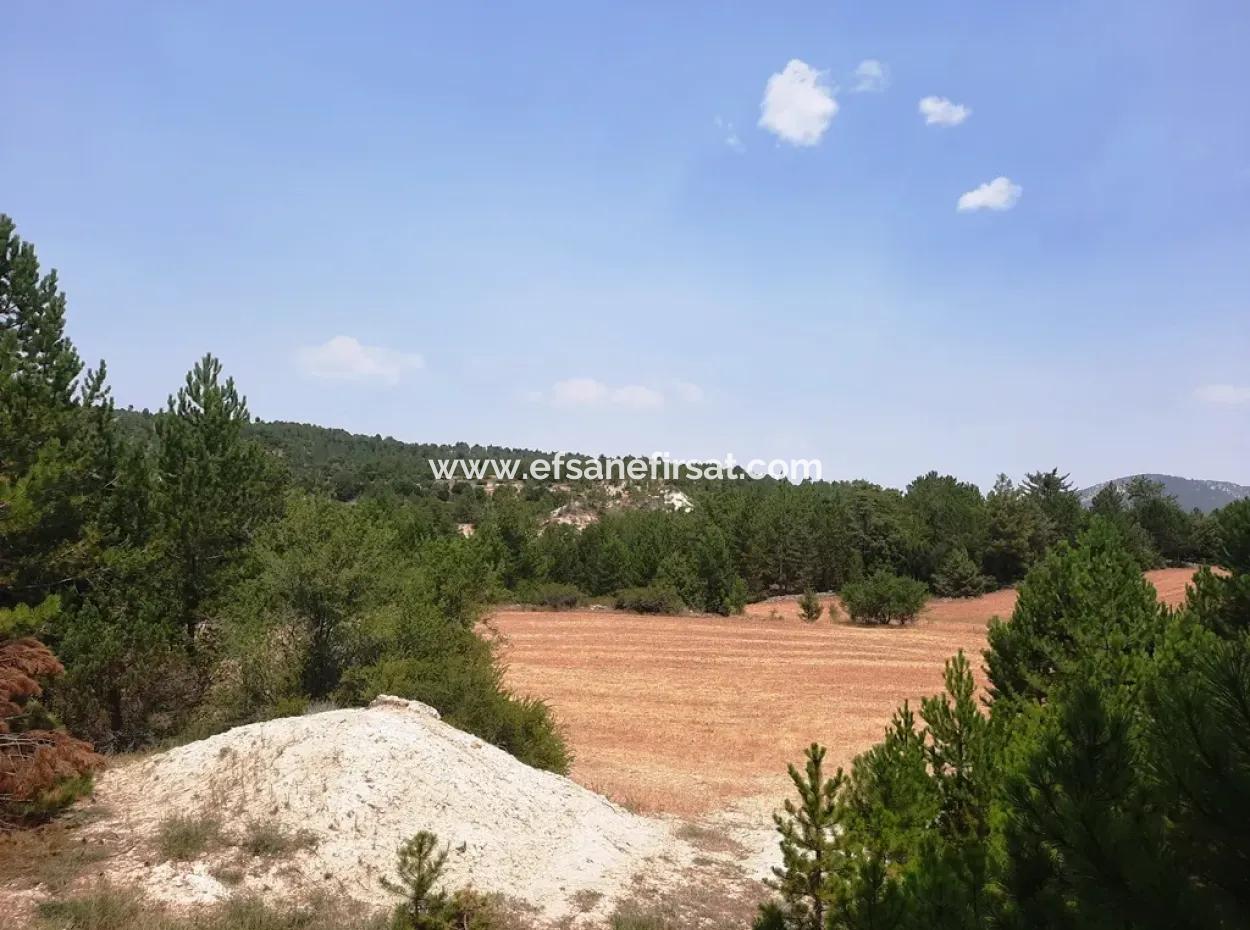 3 Parcels Of Land For Sale In Çameli Gökçeyaka