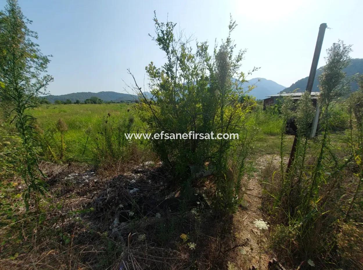 Ortaca Mergenlide Detached Title Deed 11.000 M2 Bargain Land For Emergency Sale