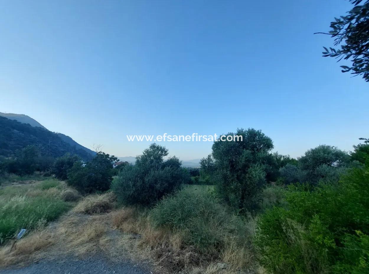 700 M2 Land With Lake View Construction Right In Köyceğiz, Yeşilköy For Emergency Sale