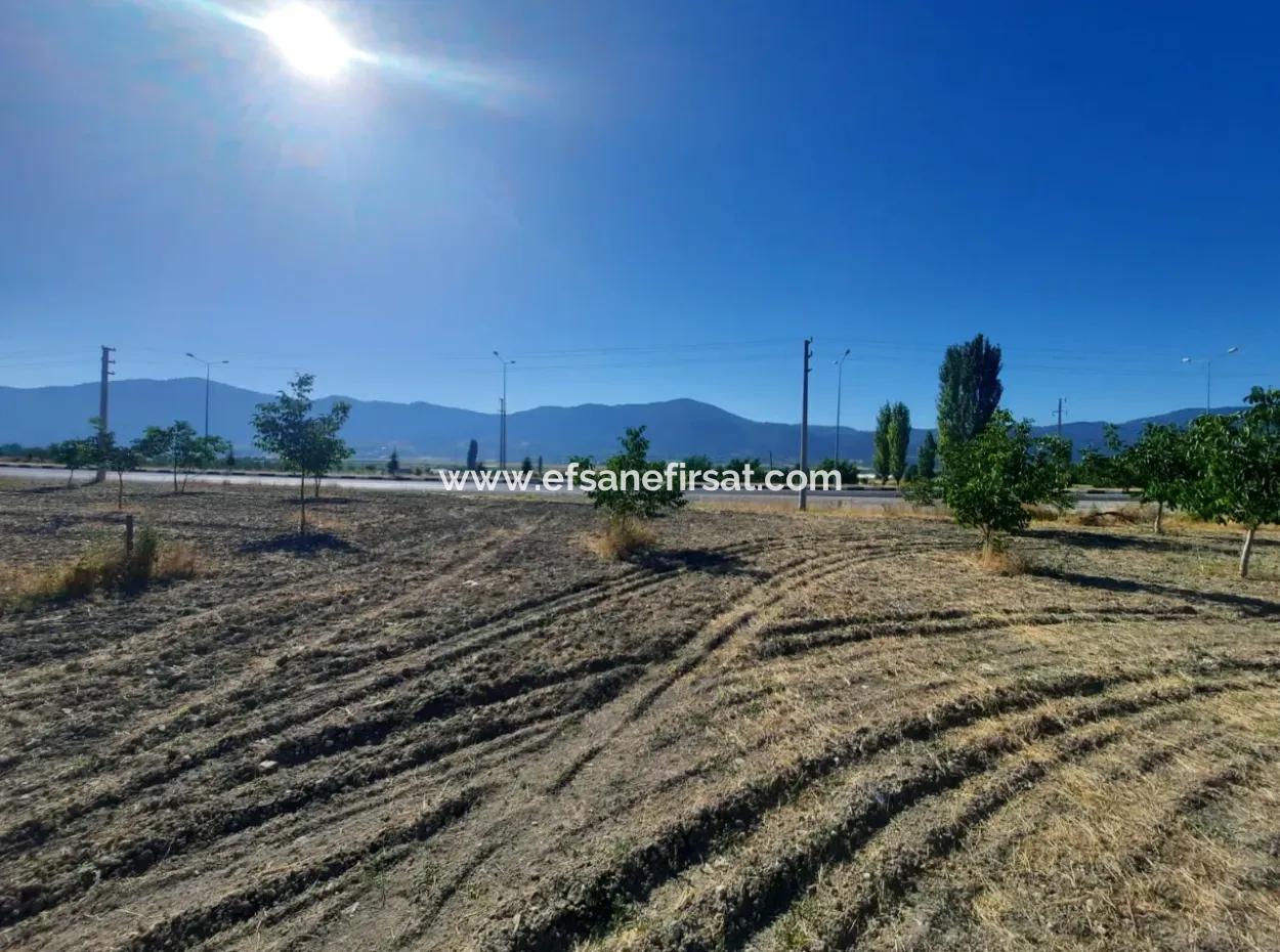 1 700 M2 Detached Land For Sale In Denizli Çameli Kolakta