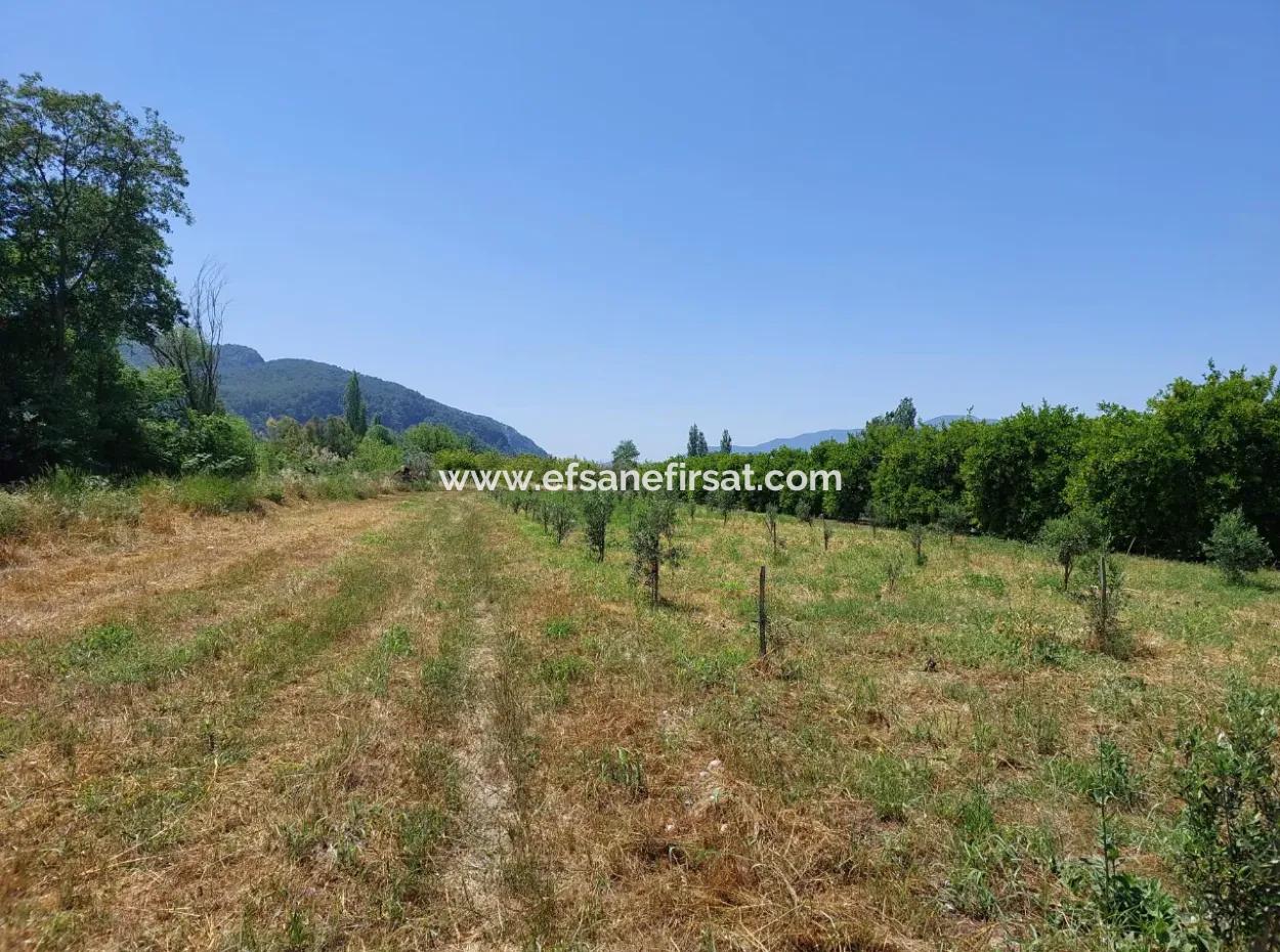 550M2 Share Land For Sale In The Built-Up Area Of The Village In Ortaca Kemaliye