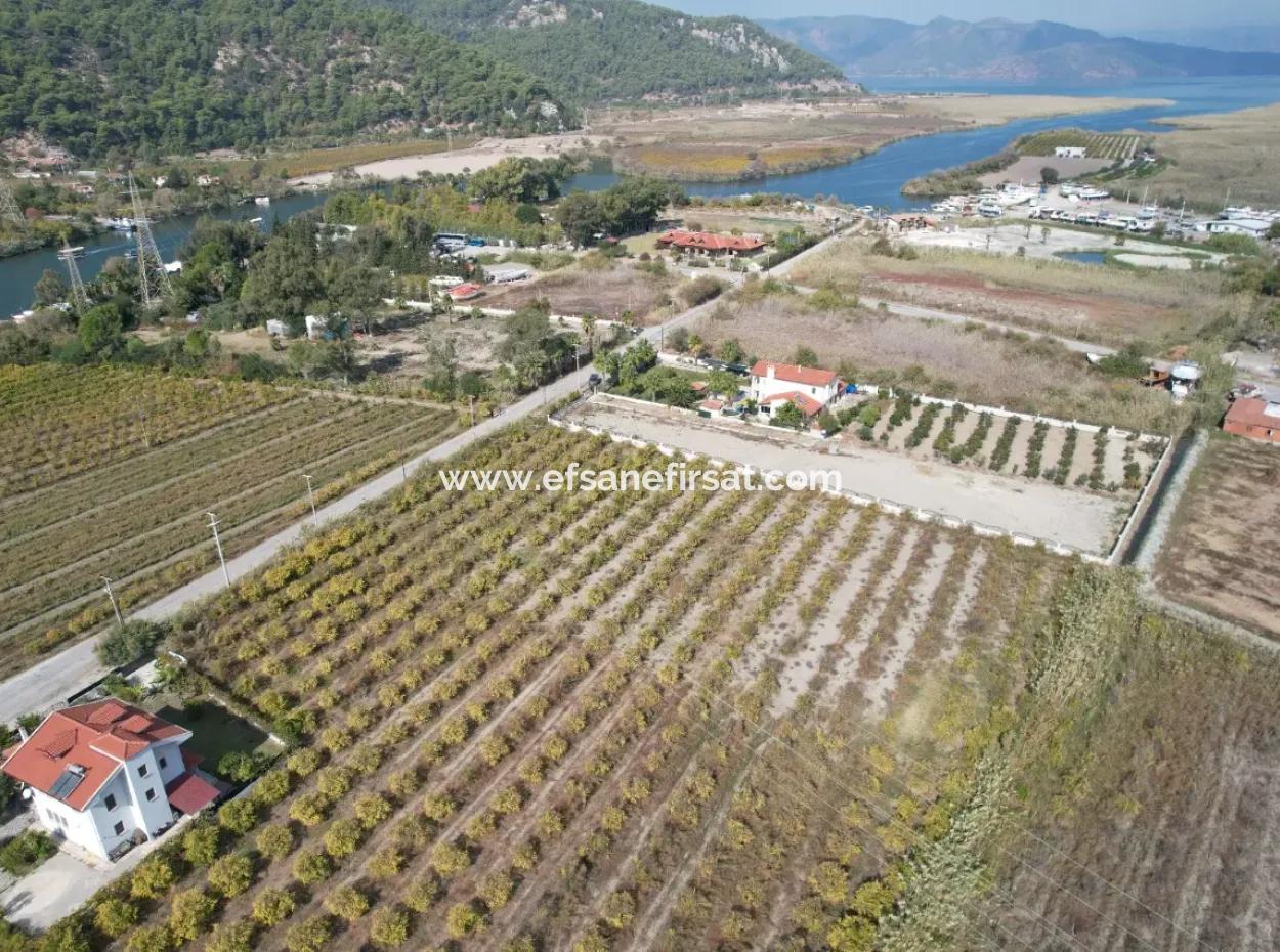 Muğla Dalyanda Canal 2Nd Parcel Detached 5.000 M2, 250 M2 Land With Construction Right For Sale