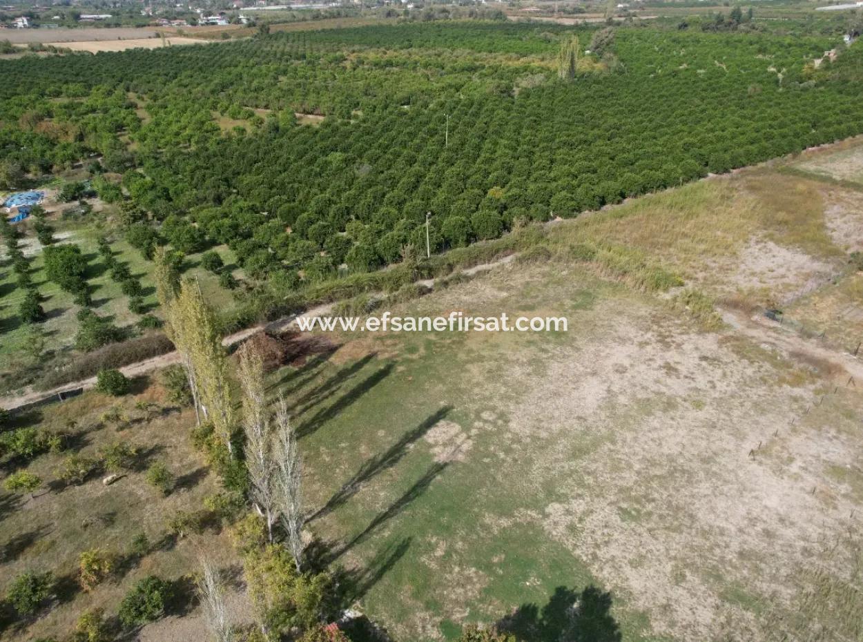 Ortaca Okçular 1577 M2 Land For Sale Suitable For Investment