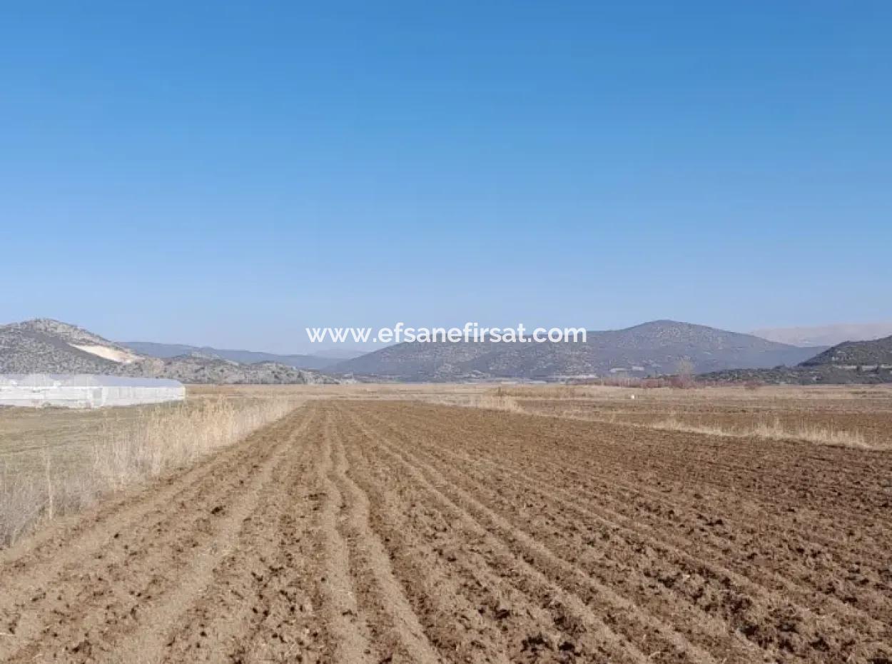 6 600 M2 Detached Land With Lake View For Sale In Burdur Gölhisar Kargalı Village