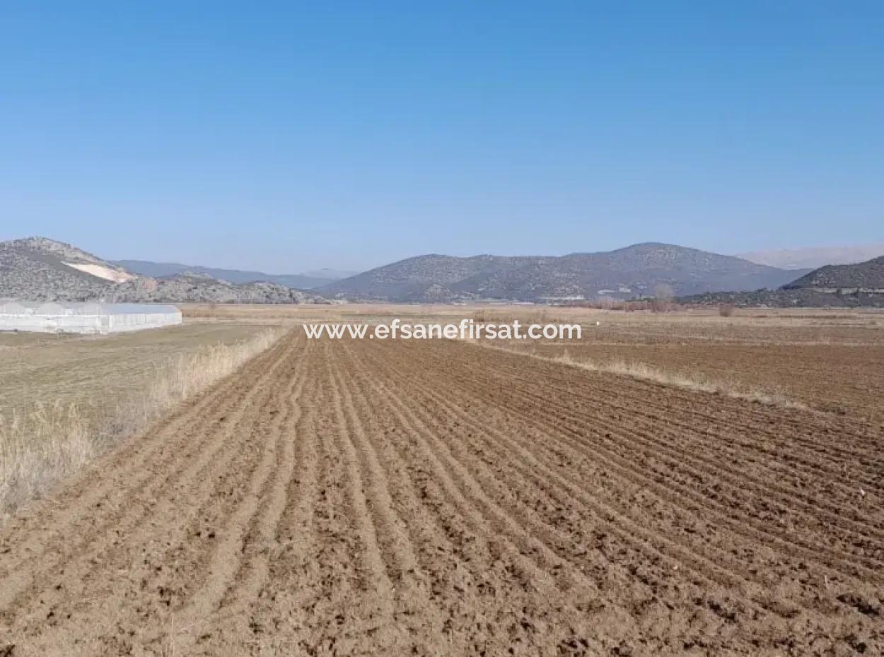 6 600 M2 Detached Land With Lake View For Sale In Burdur Gölhisar Kargalı Village