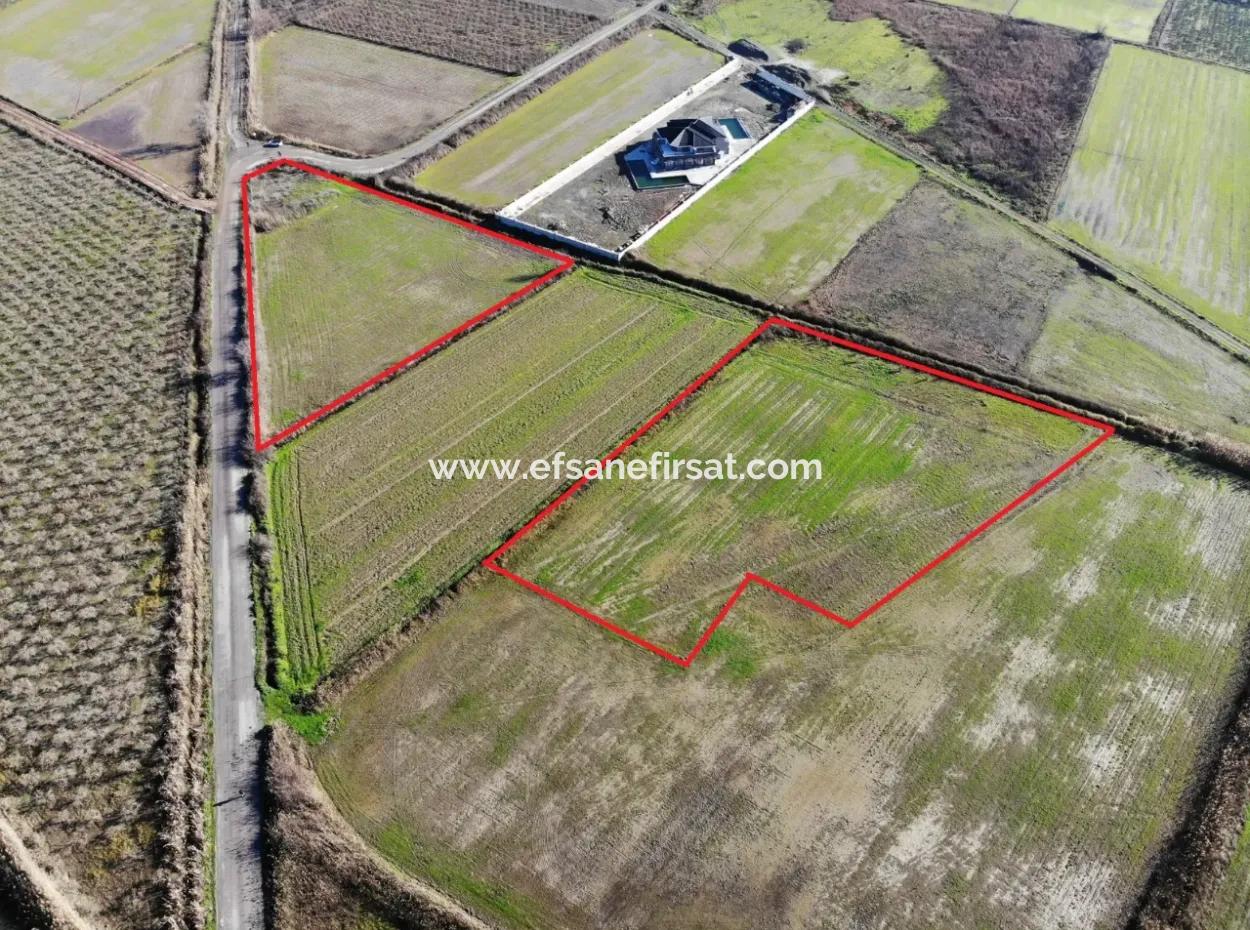 Fields Suitable For Cooperative In Ortaca Güzelyurt Are For Sale