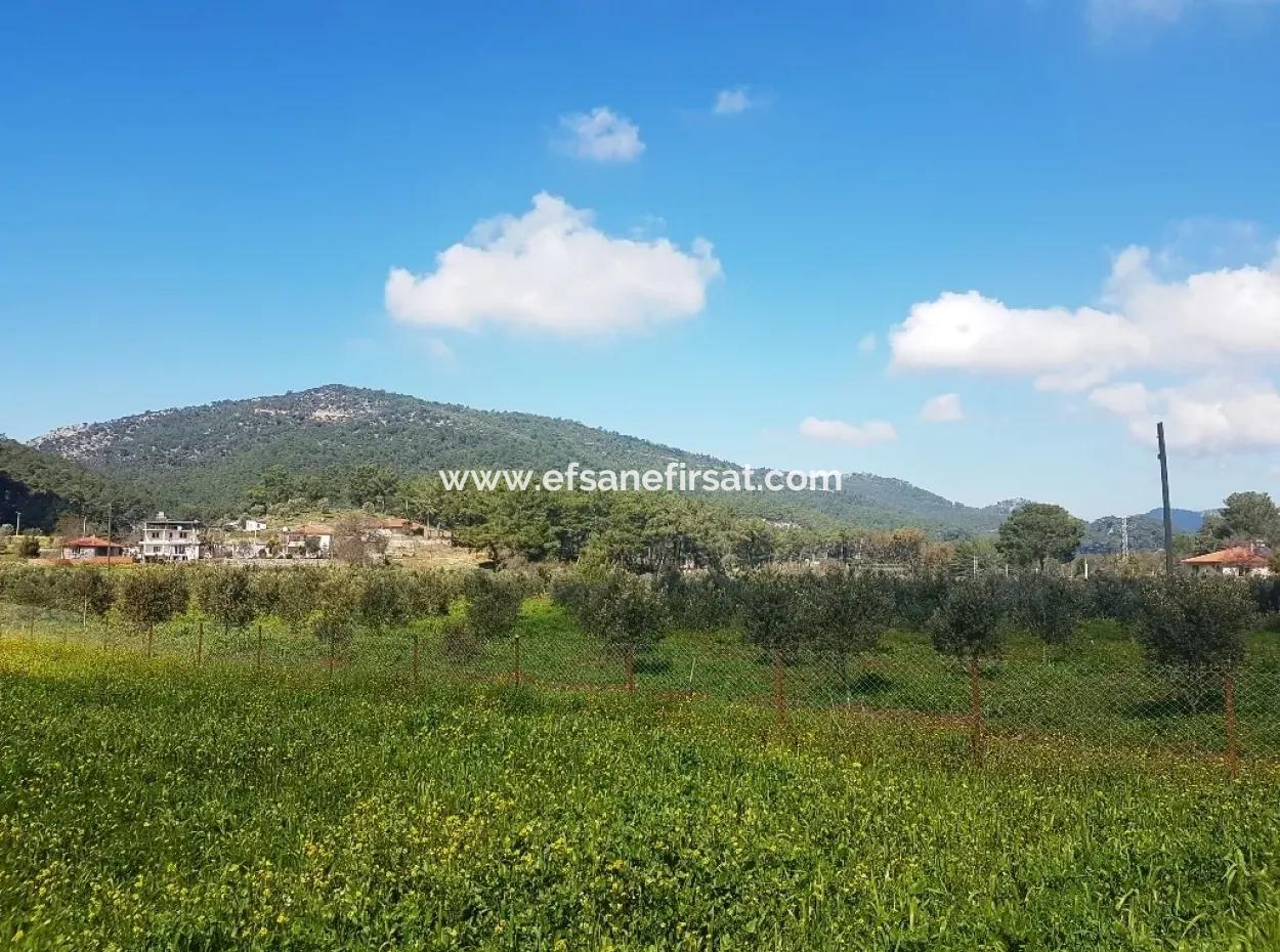 Land For Sale In Dalaman Honor Kircagedire