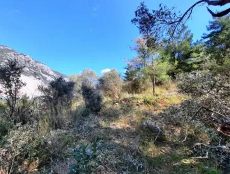 Ruined Stone Village House For Sale In Gökova And Its Land