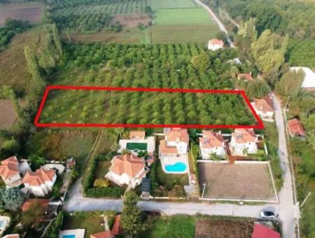 Muğla Okçular Marmarlıda 4.000M2 Zoning Plan Land Suitable For Investment For Sale