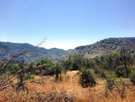 Muğla Dalaman 42.432M2 Detached Land With Title Deed For Sale