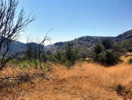 Muğla Dalaman 42.432M2 Detached Land With Title Deed For Sale